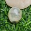 โป่งข่าม ควอตซ์ Rutilated Quartz 32.29 กะรัต Cts. พลอยแท้ อัญมณีมงคลประจําวันเกิด เครื่องประดับพลอย