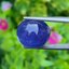 พลอย แทนซาไนท์ Tanzanite 16.92 กะรัต (Cts.) พลอยแท้ อัญมณีมงคลประจําวันเกิด เครื่องประดับพลอย