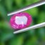 พลอย ชมพู พิ้ง แซฟไฟร์ Pink Sapphire 1.15 กะรัต (Cts.) พลอยแท้ อัญมณีมงคลประจําวันเกิด เครื่องประดับพลอย