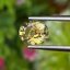 พลอย คริโซเบริล (Chrysoberyl) 1.68 กะรัต (Cts.) พลอยแท้ อัญมณีมงคลประจําวันเกิด เครื่องประดับพลอย