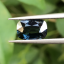 พลอย สปิเนล พม่า Spinel Myanmar 2.18 กะรัต (Cts.) ดิบ Unheated พลอยแท้ อัญมณีมงคลประจําวันเกิด เครื่องประดับพลอย
