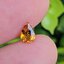 พลอย บุษราคัม yellow sapphire 1.05 กะรัต (Cts.) พลอยแท้ อัญมณีมงคลประจําวันเกิด เครื่องประดับพลอย