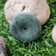 หยก พม่า แท้ Jade จี้โดนัทหยก (Bi-dise jadeite) พม่า (Myanmar) 68.74 กะรัต (Cts.)