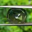 พลอย เขียวส่อง (Green Sapphire) 11.97 กะรัต (Cts.) พร้อมใบเซอร์ พลอยแท้ อัญมณีมงคลประจําวันเกิด เครื่องประดับพลอย