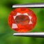 พลอย บุษราคัม Yellow Sapphire 1.19 กะรัต (Cts.) พลอยแท้ อัญมณีมงคลประจําวันเกิด เครื่องประดับพลอย
