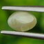 พลอย ตาแมว คริโซเบริล Cat eye Chrysoberyl 1.20 กะรัต (Cts.) พลอยแท้ อัญมณีมงคลประจําวันเกิด เครื่องประดับพลอย