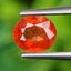 พลอย บุษราคัม Yellow Sapphire 1.19 กะรัต (Cts.) พลอยแท้ อัญมณีมงคลประจําวันเกิด เครื่องประดับพลอย