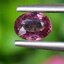 พลอย ทับทิม สยาม (Siam Ruby Sapphire) 0.75 กะรัต (Cts.) ดิบ Unheated พลอยแท้ อัญมณีมงคลประจําวันเกิด เครื่องประดับพลอย