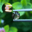 พลอย อเล็กซานไดร์ (Natural Alexandrite Chrysoberyl) เจ้าสามสี 0.44 กะรัต (Cts.) พร้อมใบเซอร์ พลอยแท้ อัญมณีมงคลประจําวันเกิด เครื่องประดับพลอย
