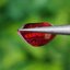 พลอย ทับทิม Ruby sapphire 1.83 กะรัต (Cts.) พลอยแท้ อัญมณีมงคลประจําวันเกิดเครื่องประดับพลอย
