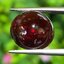 พลอย สเปสซาร์ไทต์ Spessartite Garnet 9.13 กะรัต (Cts.) ดิบ Unheated พลอยแท้ อัญมณีมงคลประจําวันเกิด เครื่องประดับพลอย