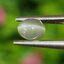 พลอย ตาแมว อเล็กซานไดร์ Cat eye Alexandrite 0.45 กะรัต (Cts.) พร้อมใบเซอร์ พลอยแท้ อัญมณีมงคลประจําวันเกิด เครื่องประดับพลอย
