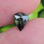 พลอย เขียวส่อง Green Sapphire 1.83 กะรัต (Cts.) ดิบ (Unheated) พลอยแท้ อัญมณีมงคลประจําวันเกิด เครื่องประดับพลอย