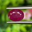 พลอย ทับทิม พม่า (Burmese Ruby Sapphire) 1.45 กะรัต พลอยแท้ อัญมณีมงคลประจําวันเกิด เครื่องประดับพลอย
