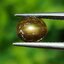 พลอย โกลเด้น สตาร์ แซฟไฟร์ Golden Star Sapphire 1.47 กะรัต (Cts.) ดิบ Unheated พร้อมใบเซอร์ พลอยแท้ อัญมณีมงคลประจําวันเกิด เครื่องประดับพลอย