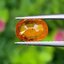 พลอย บุษราคัม Yellow Sapphire 1.35 กะรัต (Cts.) พลอยแท้ อัญมณีมงคลประจําวันเกิด เครื่องประดับพลอย