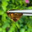 พลอย ซิทริน Citrine 9.43 กะรัต (Cts.) พลอยแท้ อัญมณีมงคลประจําวันเกิด เครื่องประดับพลอย