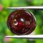พลอย สเปสซาร์ไทต์ Spessartite Garnet 9.13 กะรัต (Cts.) ดิบ Unheated พลอยแท้ อัญมณีมงคลประจําวันเกิด เครื่องประดับพลอย