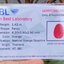 พลอย ทับทิม สยาม (Siam Ruby Sapphire) 1.42 กะรัต (Cts.) พร้อมใบเซอร์ พลอยแท้ อัญมณีมงคลประจําวันเกิด เครื่องประดับพลอย