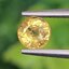 พลอย บุษราคัม Yellow Sapphire 0.76 กะรัต (Cts.) พลอยแท้ อัญมณีมงคลประจําวันเกิด เครื่องประดับพลอย