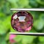 พลอย ชมพู พิ้งค์ ทัวร์มารีน (Pink Tourmaline) 3.94 กะรัต (Cts.) อัญมณีมงคลประจําวันเกิด เครื่องประดับพลอย