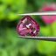 พลอย ชมพู พิ้ง แซฟไฟร์ Pink Sapphire 0.67 กะรัต (Cts.) ดิบ Unheated พลอยแท้ อัญมณีมงคลประจําวันเกิด เครื่องประดับพลอย