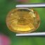 พลอย บุษราคัม yellow sapphire 2.66 กะรัต พลอยแท้ อัญมณีมงคลประจําวันเกิด เครื่องประดับพลอย