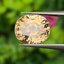 พลอย เพทาย Natural Zircon 6.55 กะรัต (Cts.) พลอยแท้ อัญมณีมงคลประจําวันเกิด เครื่องประดับพลอย