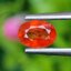 พลอย บุษราคัม Yellow Sapphire 1.15 กะรัต (Cts.) พลอยแท้ อัญมณีมงคลประจําวันเกิด เครื่องประดับพลอย