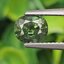พลอย เขียวส่อง Green Sapphire 1.63 กะรัต (Cts.) พลอยแท้ อัญมณีมงคลประจําวันเกิด เครื่องประดับพลอย