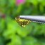 พลอย บุษราคัม Yellow Sapphire 1.43 กะรัต (Cts.) พลอยแท้ อัญมณีมงคลประจําวันเกิด เครื่องประดับพลอย