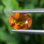 พลอย บุษราคัม Yellow Sapphire 1.61 กะรัต (Cts.) พลอยแท้ อัญมณีมงคลประจําวันเกิด เครื่องประดับพลอย