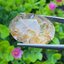 โป่งข่าม ควอตซ์ Rutilated Quartz 41.83 กะรัต Cts. พลอยแท้ อัญมณีมงคลประจําวันเกิด เครื่องประดับพลอย