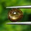 พลอย โกลเด้น สตาร์ แซฟไฟร์ Golden Star Sapphire 1.47 กะรัต (Cts.) ดิบ Unheated พร้อมใบเซอร์ พลอยแท้ อัญมณีมงคลประจําวันเกิด เครื่องประดับพลอย