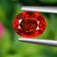 พลอย ทับทิม ซองเจีย Songea Ruby Sapphire 1.09 กะรัต (Cts.) พลอยแท้ อัญมณีมงคลประจําวันเกิด เครื่องประดับพลอย