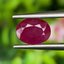 พลอย ทับทิม พม่า (Burmese Ruby Sapphire) 1.45 กะรัต พลอยแท้ อัญมณีมงคลประจําวันเกิด เครื่องประดับพลอย