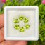 พลอย เพอริดอต Peridot 5.32 กะรัต (Cts.) 6 เม็ด (pcs.) พลอยแท้ อัญมณีมงคลประจําวันเกิด เครื่องประดับพลอย
