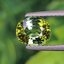 พลอย ทัวร์มาลีน Tourmaline 1.41 กะรัต (Cts.) พลอยแท้อัญมณีมงคล ประจําวันเกิด เครื่องประดับพลอย