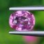 พลอย ชมพู พิ้ง แซฟไฟร์ Pink Sapphire ดิบ Unheated 1.02 กะรัต (Cts.) พร้อมใบเซอร์ พลอยแท้ อัญมณีมงคลประจําวันเกิด เครื่องประดับพลอย
