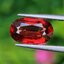 พลอย สเปสซาร์ไทต์ Spessartite Garnet 2.23 กะรัต Cts.พลอยแท้ อัญมณีมงคลประจําวันเกิด เครื่องประดับพลอย