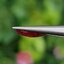 พลอย ทับทิม Ruby sapphire 1.04 กะรัต (Cts) ดิบ Unheated พลอยแท้ อัญมณีมงคลประจําวันเกิด เครื่องประดับพลอย