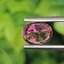 พลอย ทัวร์มารีน (Tourmaline) 1.63 กะรัต (Cts.) อัญมณีมงคลประจําวันเกิด เครื่องประดับพลอย