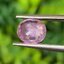 พลอย ชมพู พิ้ง แซฟไฟร์ Pink Sapphire 1.47 กะรัต (Cts.) พลอยแท้ อัญมณีมงคลประจําวันเกิด เครื่องประดับพลอย