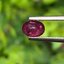 พลอย ทับทิม สยาม Siam Ruby sapphire 0.71 กะรัต พลอยแท้ อัญมณีมงคลประจําวันเกิด เครื่องประดับพลอย