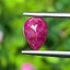 พลอย ทับทิม พม่า (Burmese Ruby Sapphire) 1.33 กะรัต พลอยแท้ อัญมณีมงคลประจําวันเกิด เครื่องประดับพลอย
