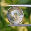 ไหมทอง ควอตซ์ Golden Rutilated Quartz 10.48 กะรัต Cts.พลอยแท้ อัญมณีมงคลประจําวันเกิด เครื่องประดับพลอย