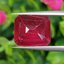 พลอย ทับทิม Ruby sapphire 8.90 กะรัต (Cts.) พลอยแท้ อัญมณีมงคลประจําวันเกิด เครื่องประดับพลอย