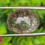 ไหมดำ แก้วขนเหล็ก ควอตซ์ Black Rutilated Quartz 17.60 กะรัต Cts. พลอยแท้ อัญมณีมงคลประจําวันเกิด เครื่องประดับพลอย