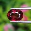 พลอย โรโดไลต์ กาเน็ท Rhodolite Garnet 1.50 กะรัต Cts. พร้อมใบเซอร์ พลอยแท้ อัญมณีมงคลประจําวันเกิด เครื่องประดับพลอย