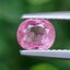 พลอย ชมพู พิ้ง แซฟไฟร์ Pink Sapphire 0.92 กะรัต (Cts.) พลอยแท้ อัญมณีมงคลประจําวันเกิด เครื่องประดับพลอย